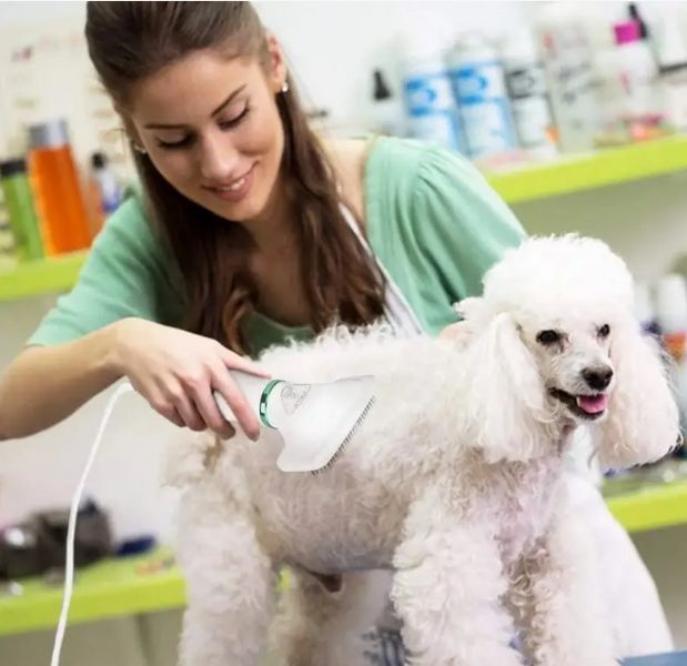 Универсальная Фен - расческа для шерсти животных PET GROOMING DRYER WN-10 фото