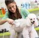 Универсальная Фен - расческа для шерсти животных PET GROOMING DRYER WN-10 фото 3